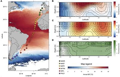 Composition and Biogeography of Planktonic Pro- and Eukaryotic Communities in the Atlantic Ocean: Primer Choice Matters